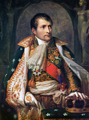 イタリア ボナパルト朝 国王 ナポレオーネ1世